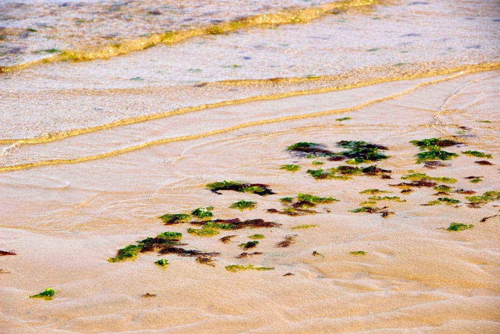 plages