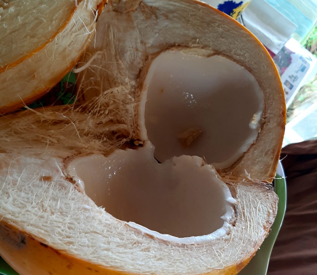 guadeloupe