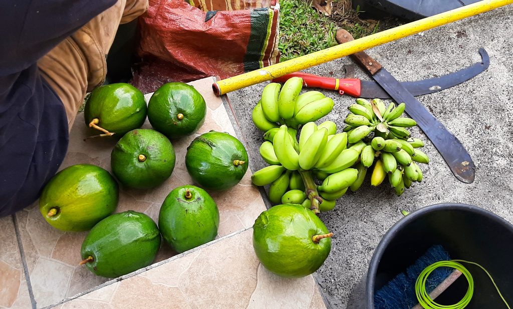 guadeloupe