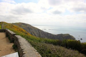 Cotentin